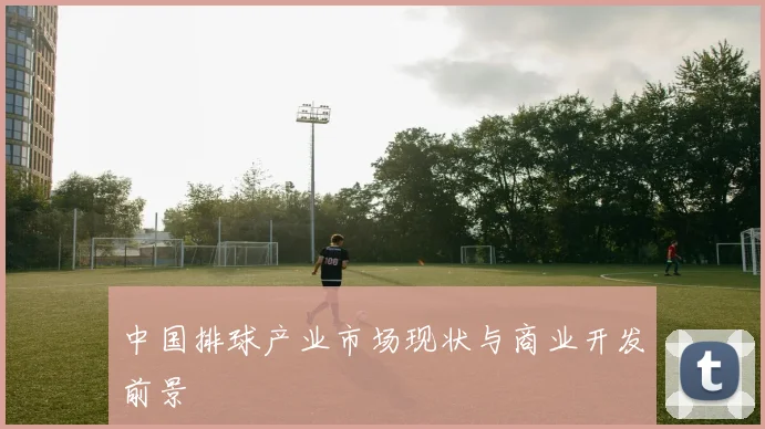 中国排球产业市场现状与商业开发前景